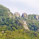 세한농원 이미지