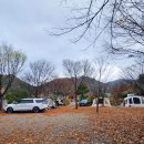 들꽃여울캠핑장 이미지