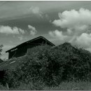 금산방앗간 이미지