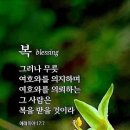 (주)방송과사람