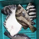 일산바다실내낚시터 이미지