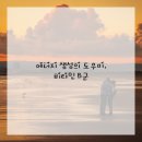 비타민이야기