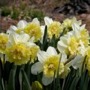 선암농장 이미지