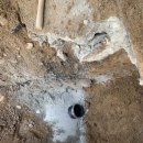 코아&2060 이미지