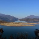 비제이유통 이미지