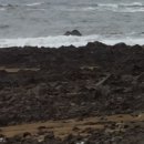 해변노을 이미지