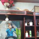 의성이용소 이미지