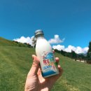 일주농장 이미지