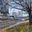 운정역 | 운정역 스타필드 간 후기(일상후기)