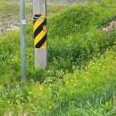 유복립 정려각 이미지