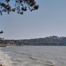 증도면사무소 이미지