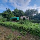 신강남공인중개사사무소 이미지