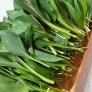 시우네농장 이미지