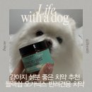이75덴탈 | 강아지 성분 좋은 프리미엄 오가닉 치약[블랙쉽 오가닉스 반려견용 치약]