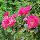 생곡스테이 이미지