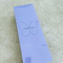 Best of the Best | [Panorama : The Best of TAEYEON] 태연 10주년 마이크앨범 언박싱 후기!