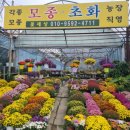 성민꽃농원