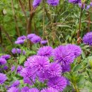 수고한 나에게 주는 , 꽃 이미지