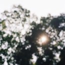 아지랑이 이미지