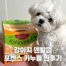 이(e)덴탈 | 강아지 입냄새 치석 고민 끝! 포켄스 카누들 덴탈껌 내돈내산 솔직후기 (n년째 복용중)