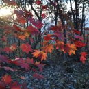 경수봉민박 이미지