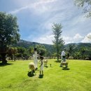 현지목장 이미지