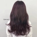 살롱드베이