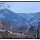 성주산건강마을 이미지