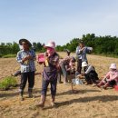 김수자농장 이미지