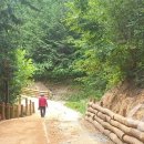 오소리약수터 이미지