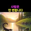 전갈의 습성과 개구리 이미지