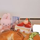 에디션엠