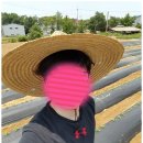 수촌농장 이미지