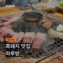 하루방 | 김포 운양동 맛집 하루방 후기ㅣ제주 흑돼지 삼겹살 맛집 솔직 후기