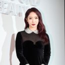 미기 카카오 검색결과
