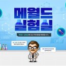 메인유