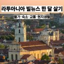 (주)텔레비트 | 리투아니아 빌뉴스 한달살기 완벽 가이드: 중세 도시의 낭만을 만끽하는 법 (2025 최신)