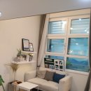 송이비인후과의원 이미지