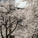 길음역 3번출구 | [성북] 손상 없는 길음속눈썹펌 틈뷰티하우스 수분펌 후기