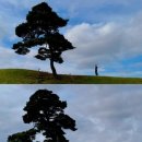 토성농장 이미지