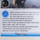신안갯벌세발낙지 이미지