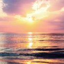 케이플란트치과의원 이미지