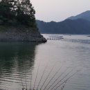 신고입고