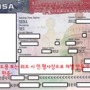 [체육인비자 P-4] P-1 비자의 P-4 동반비자 승인 케이스 이미지