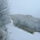 광주 무등산의 겨울 풍경 이미지