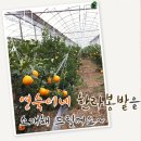 영숙농장 이미지