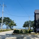 파도소리 펜션 | 광주근교/고창 구시포 해수욕장 아이랑 조개캐기, 해루질, 파도소리 펜션 숙박후기