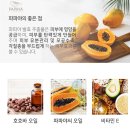 포포 이미지