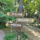 양을산산림욕장 이미지
