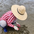 이마트24태안청포대점 이미지